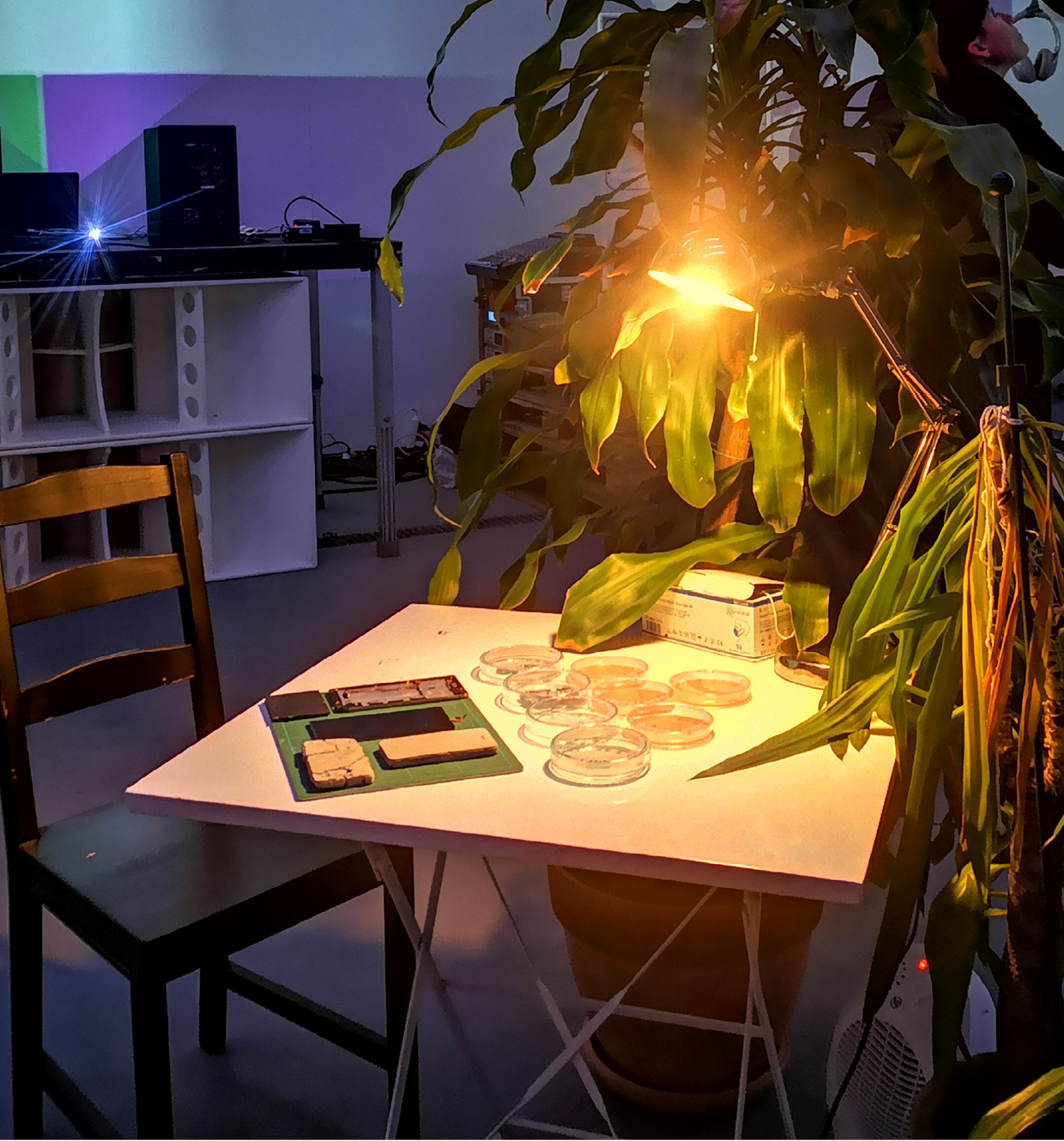 Arbeitsgemeinschaft für Mechanologie und Techno-Natur